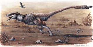 Newly Described Dakotaraptor: A Giant Raptor From The Hell Creek Formation For Sale