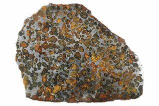 How Are Pallasite Meteorites Formed? For Sale