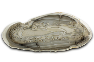 Striped Flint: A Polish Geological Teasure