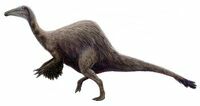 List of State Fossils - FossilEra.com