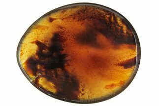 Polished Indonesian Amber Worry Stones