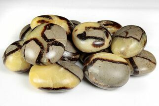 1.5" Tumble Polished Septarian Stones