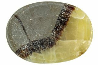 1.5" Polished Septarian Worry Stones