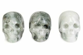 1.5" Polished Tree Agate Skulls 