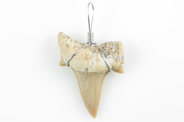 Make Shark Tooth Necklace ⋆ Rowenna Mason