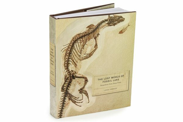 Book - The Lost World of Fossil Lake: Snapshots from Deep Time ...