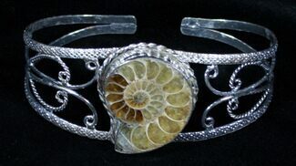 Beautiful Ammonite Fossil Bracelet #3363