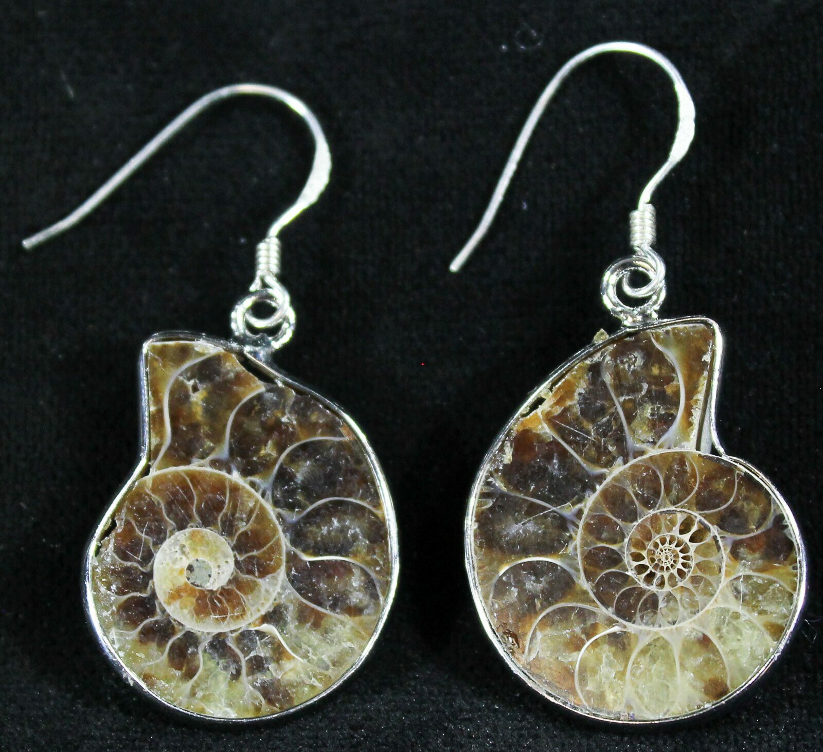 Fossil Ammonite Earrings Sterling Silver (23994) For Sale