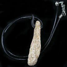 Colorado Agatized Dinosaur Bone Necklace #26985