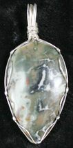 Dinosaur Coprolite Pendant #27110