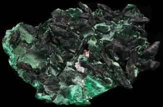 Deep Green Fibrous Malachite Crystals - Congo #33474