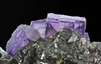 Huge Cubic Purple Fluorite on Sphalerite - Elmwood #33892