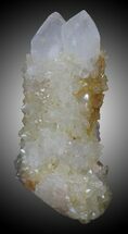 Cactus Quartz Crystals - South Africa #33911