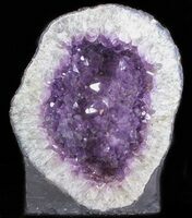 11.7 Deep Purple Amethyst Crystal Cluster With Huge Crystals