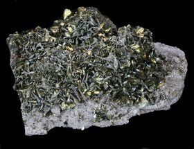 Chalcopyrite Specimen - Missouri #35100