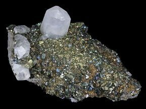Chalcopyrite & Calcite Specimen - Missouri #35111