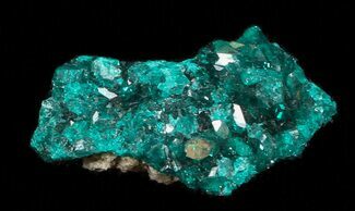 Thumbnail Emerald-Green Dioptase Crystals - Kazakhstan #34969