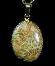 Million Year Old Fossil Coral Necklace #35773
