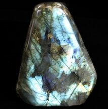 Polished Labradorite For Sale - FossilEra.com