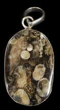 Fossil Turritella (Gastropod) Pendant - Sterling Silver #38114
