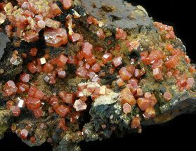 Red Vanadinite Crystals on Manganese Oxide - Morocco #38519