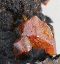 Ruby Red Vanadinite Crystals on Manganese Oxide - Morocco #38493