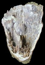 Tall Quartz Perimorph (Stalactitic) Geode #39162