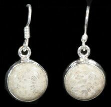 Beautiful Fossil Coral Sunburst Earrings - Sterling Silver #41220