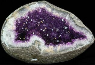 Dark Amethyst Geode From Uruguay- lbs #41898