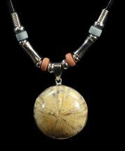 Polished Fossil Sand Dollar Necklace #43100