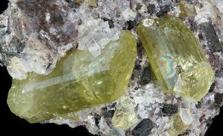 Apatite Crystals In Matrix - Durango, Mexico #43409