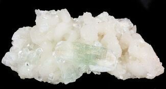 Zoned Double Terminated Apophyllite Crystal on Stilbite - India #44346