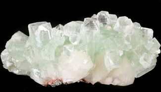 Zoned Apophyllite Crystal Cluster - India #44406