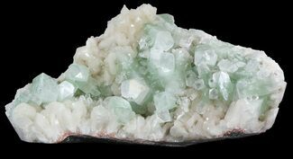 Zoned Apophyllite Crystals Cluster with Stilbite - India #44426