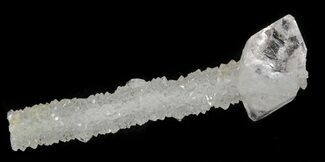 Apophyllite Crystal on Prehnite - India #44366