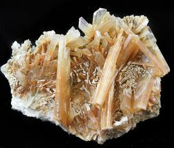 Red-Orange Selenite Crystals on Matrix - Mexico #45192