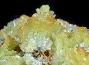 Yellow-Green, Pyromorphite Crystal Cluster - China #45740