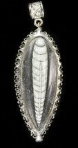 Fossil Orthoceras Pendant #46962