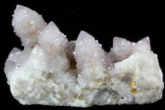 Cactus Quartz (Amethyst) Crystals - Large Cluster #47176
