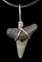 Fossil Lemon Shark Tooth Necklace #47572