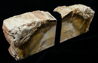 Small Sequoia Petrified Wood Bookends - Oregon #4488