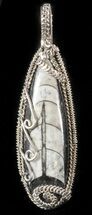 Fossil Orthoceras Pendant - Sterling Silver #48485