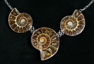 Triple Ammonite Necklace - Larger Ammonites #4552