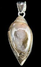 Unique Fossil Gastropod With Druzy Quartz Pendant #48816