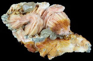 Cerussite Crystals with Orange Bladed Barite - Morocco #51396