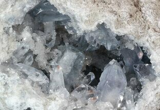 Spectacular, Celestine (Celestite) Crystal Geode - Top Quality #52521