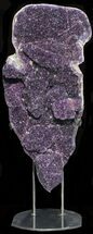 Massive, Foot Amethyst Geode On Metal Stand - Urugay #53691