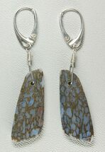 Light Blue Agatized Dinosaur Bone (Gembone) Earrings #54078