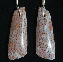 Gorgeous Agatized Dinosaur Bone (Gembone) Earrings #54081