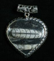 Black Fossil Orthoceras Heart Pendant #4813